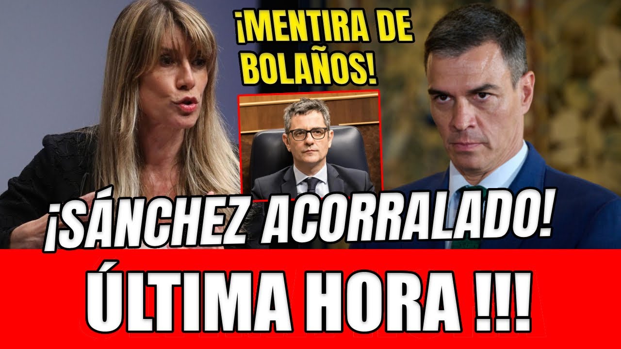 YouTube Thumbnail Downloader FULL HQ IMAGE