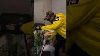 Bong bong 🎨 RZA unwraps his new Crowdwalker art! Get yours 👉 TicalArt.com