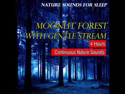 Relaxing Nature Sounds in a Moonlit Forest with Gentle Sparkling Stream