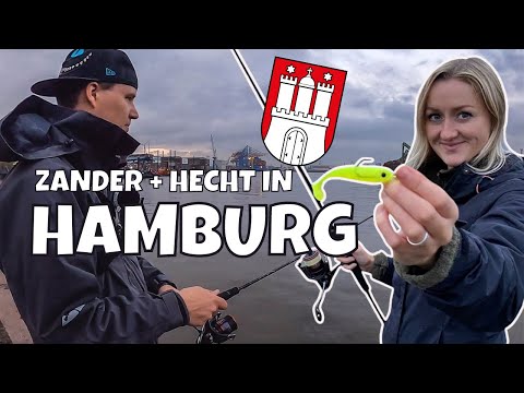 ENDLICH❗Angeln in Hamburg | am Hafen vom Ufer | Zander und Hecht | Vlog #106