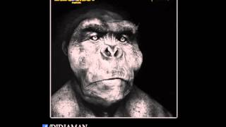 TYMPANUM - Raphaël Didjaman