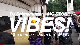 DJ Shimamura feat. MC STONE - VIBES! (Summer Jumbo Mix)