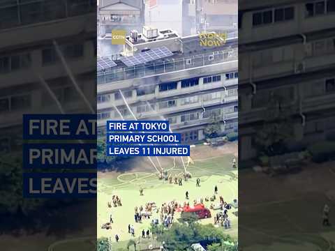 Fire at Tokyo primary school leaves 11 injured #worldnow