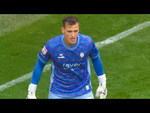 Radek Vítek vs Hull City