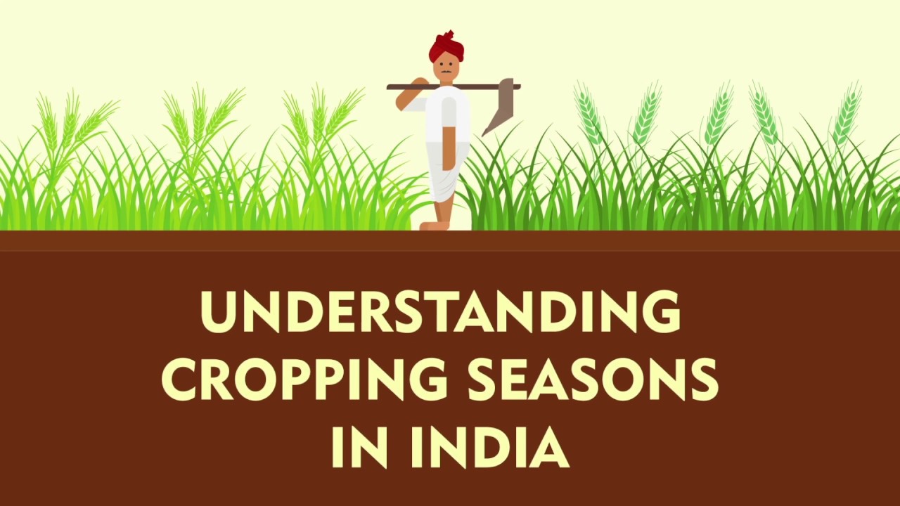Understanding Cropping Seasons in India | Kharif, Rabi, Zaid | Factly