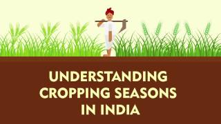 Understanding Cropping Seasons in India | Kharif, Rabi, Zaid | Factly