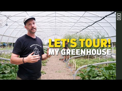 Why A Greenhouse Is The BEST Investment For Your Farm | Climate Resilience And Epic Yields