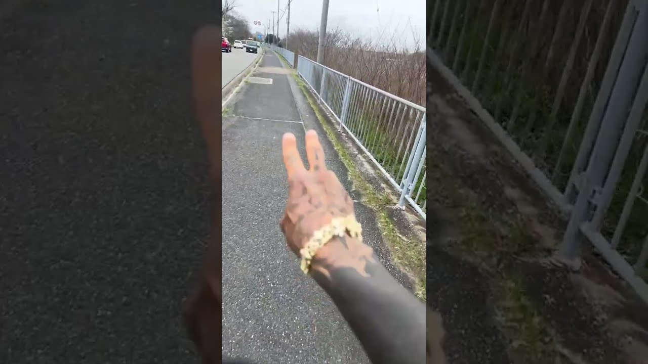 【1000km徒歩旅DAY15】目が見えなくなるファンの為に今見える景色を！『現在533km【兵庫西宮→兵庫西明石40km】