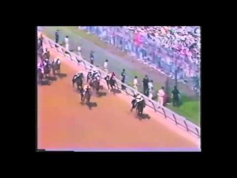 Seattle Slew 1977 Triple Crown Champion
