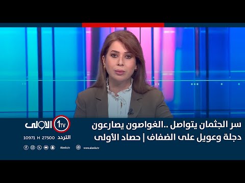 فيديو | سر الجثمان يتواصل ..الغواصون يصارعون دجلة وعويل على الضفاف | حصاد الأولى