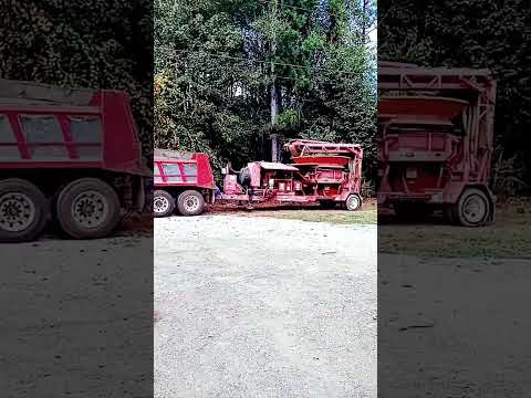 Dump truck and tub grinder