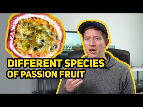 PASSION FRUIT Species - 6 Different Ones