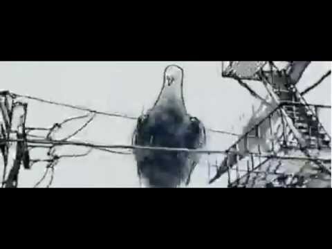 Les Colocs - Belzébuth