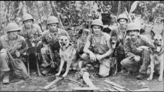 War Dogs of the Pacific (2009) Video