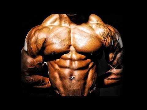 I AM A SURVIVOR - THE ULTIMATE MOTIVATION