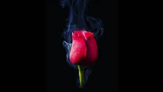 "Burning Rose" emotional Beat (prod. by Phoenix Beats)