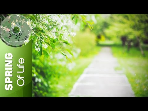 Eric Chiryoku - Wishes || Spring Of Life