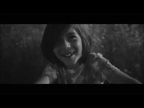 METAHESH - limerence