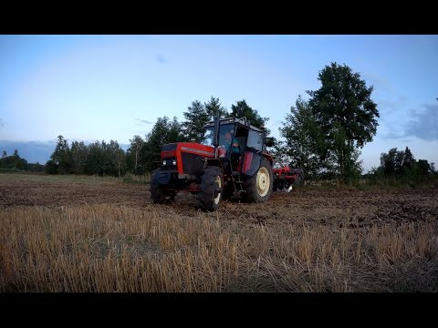 ☆Podsumowanie Sezonu 2019☆Cały sezon w 5 minut☆