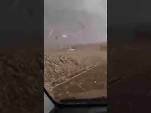 chuva com ventania forte  entre goioere e juranda estado do Paraná  dia 27.07.2025