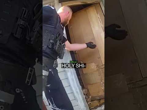 Cop Finds Dogs In House of Horrors