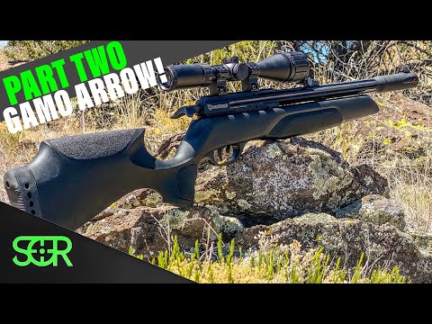 BEST budget PCP FOR 2022! - Gamo Arrow REVIEW - 50 YARD ACCURACY - Chrony #s & MORE
