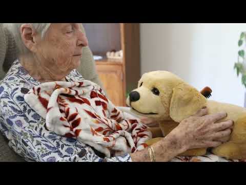 Jennie Review Video 1