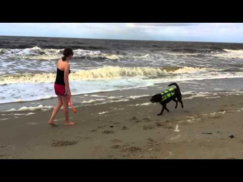 Daily Layla 8: The Beach!