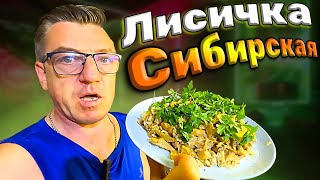 #рецепты лисички Сибирские. Рецепт от ЛГ. Простой РЕЦЕПТ пареных грибов на сковороде. Как надо и как не стоит готовить Лисичку, как вкуснее, и что вкуснее жаренная или пареная Лисичка Сибирская. Самый честный рецепт Лисички.
Новый