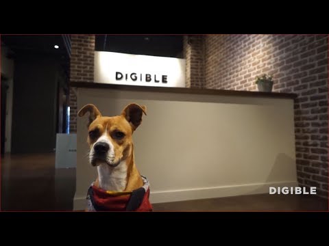 Who is Digible?