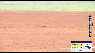 [分享] 球場上有勞贖!?體育頻道變成Discovery啦~