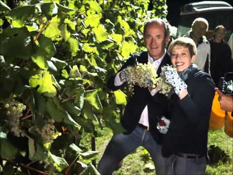 LUCA ZAIA ALLA VENDEMMIA NOTTURNA A "LA VIGNA DI SARAH"