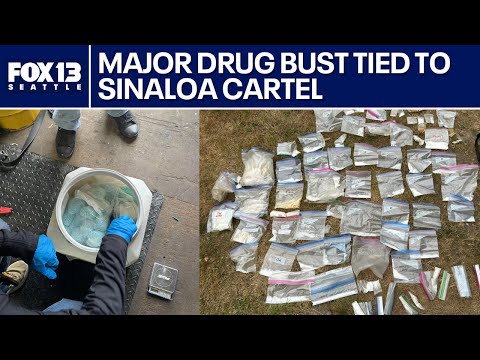Washingtonians charged in Sinaloa cartel-connected drug bust | FOX 13 Seattle