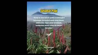 Download lagu Allahul kafi status w.a mp3