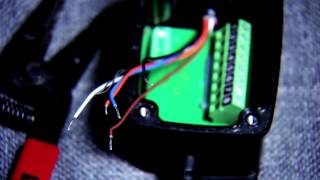 Penn Fierce 2000 Combo Rod 6'6'' - Machined & Anodized Aluminum Spool