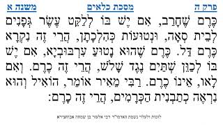 מסכת כלאים פרק ה משנה א