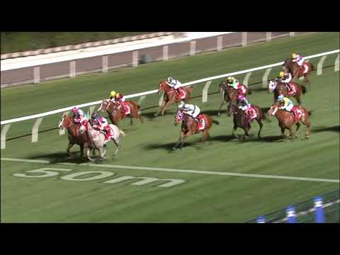 24/2/2021 (458) Racing Fighter - Z Purton