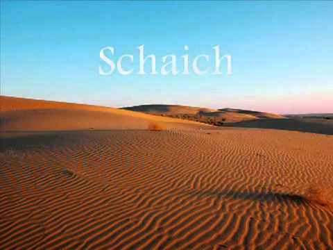 Groß Gelehrte verteidigen Shakh Albani. Bezüglich Irjaa Lüge!