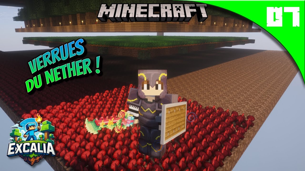 NOUVEL ÉTAGE sur l'île ! Champs de verrues du nether ! 🌾| Excalia #7