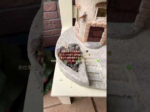 子供のためのガーデニング活動：春に子供たちに提供できる趣味は何ですか？  庭園