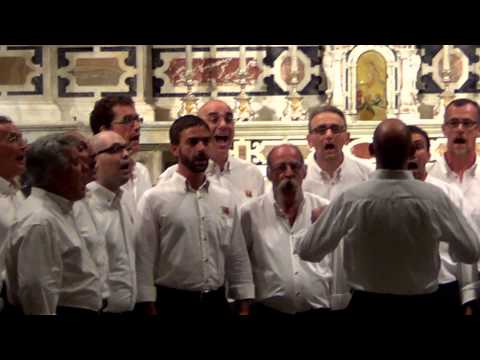Coro Mongioje - "I ricordi della sera" - da concerto 2013