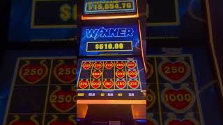 Mad pokie win on the Lightning Link slot machine 🤑 Pokies Australia 2024