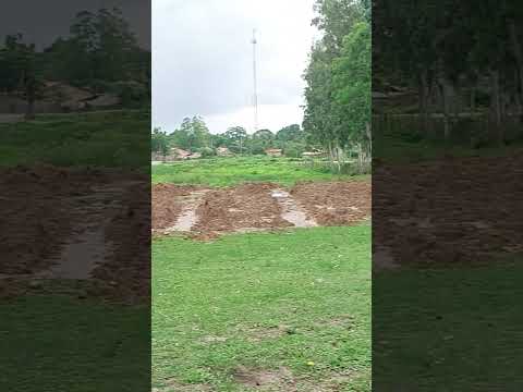Chuva vindo aí #maranhão #paisagemnatural #naturezasurpreendente #interior #palmeirândia #shortsfeed