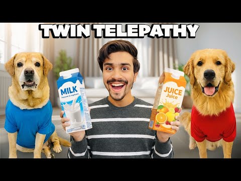 Last Video Of Leo💔 