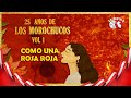 Producciones Iempsa - Los Morochucos - Como una rosa roja (Visualizer Oficial)