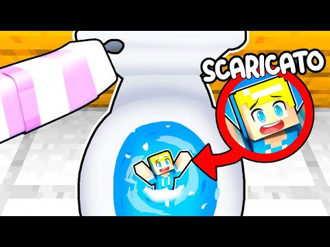 Sbriser E' Stato SCARICATO Su Minecraft!