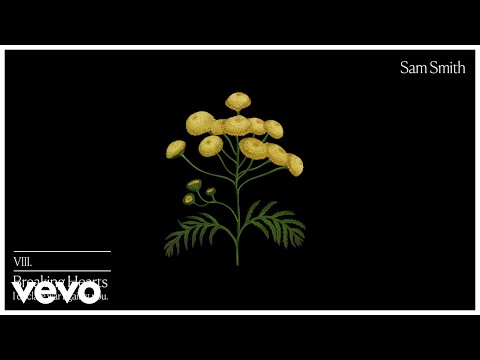 Videoclip de Breaking Hearts — Sam Smith