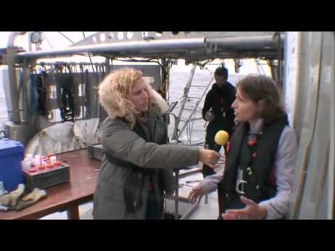 Tara Oceans Polar Circle : ITW chef scientifique Lee Karp Boss - 30 juin 2013