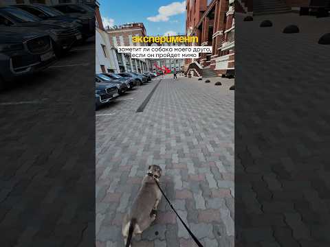 Ничего милее вы сегодня не увидите 🥹