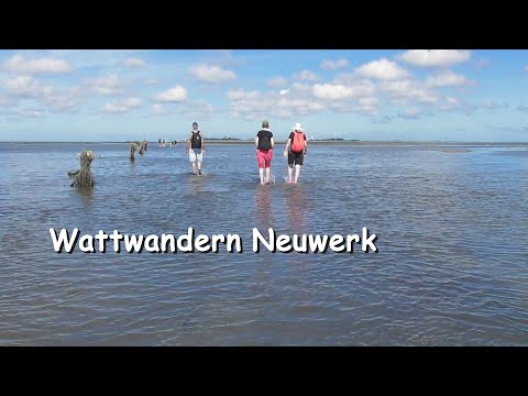 Wattwanderung zur Insel Neuwerk